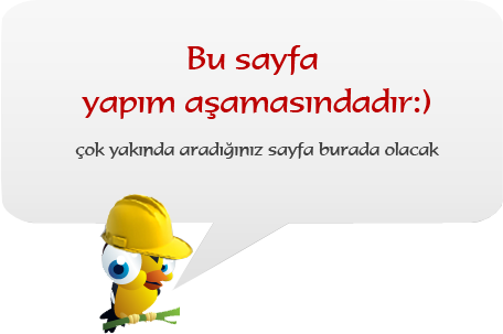 Bu Sayfa Yapım Aşamasında